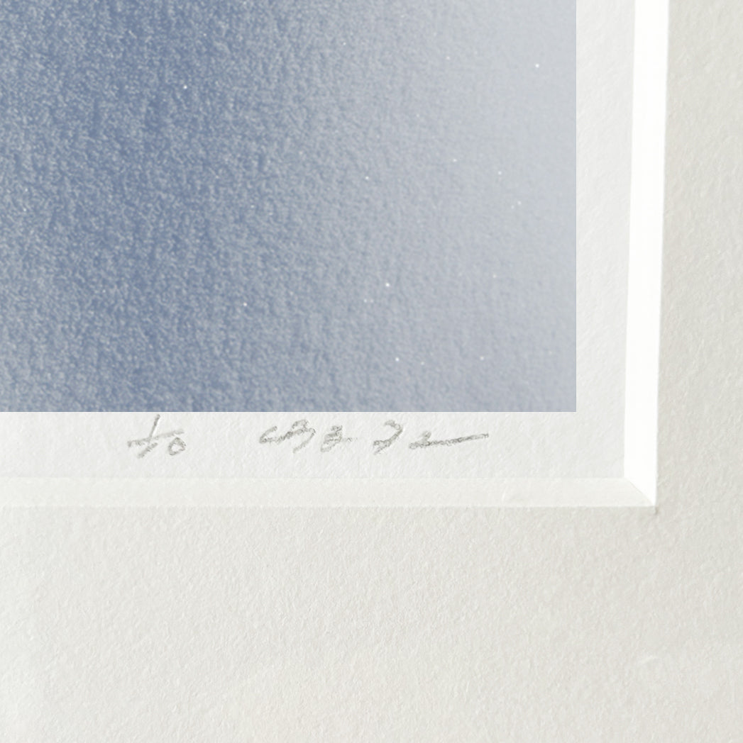TAKASHI MURATA LANDSCAPES series / UNTITLED #06