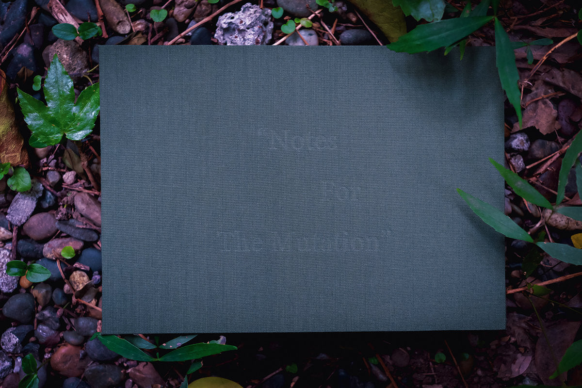 CD - Masaya Kato & Miwa Okuno / Notes For The Mutation