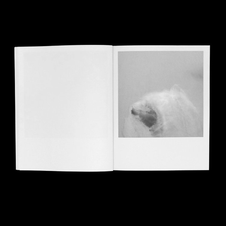 DVD, Book and Photo Card - Jacob Kirkegaard / Sabulation