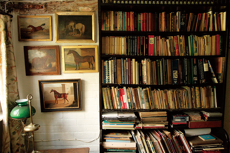 Emily Andersen / Bookshelves