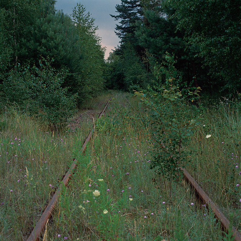 Emily Andersen / Train Tracks